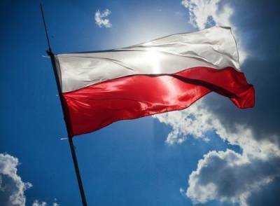 Польский политик Хорала обеспокоен, что Германия превращается в «мини-Россию» - argumenti.ru - США - Германия - Польша - Варшава