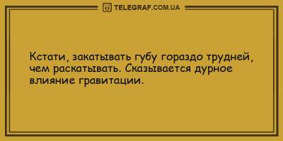 Забавные анекдоты на день 23 мая, которые подарят вам хорошее настроение - ТЕЛЕГРАФ - telegraf.com.ua