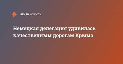 Юрий Гемпель - Немецкая делегация удивилась качественным дорогам Крыма - ren.tv - Крым - Германия - Делегация