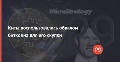 Киты воспользовались обвалом биткоина для его скупки - thepage.ua