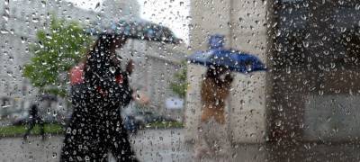 Сильный дождь обрушится на Карелию в ближайшие часы - stolicaonego.ru - Петрозаводск - район Суоярвский - республика Карелия