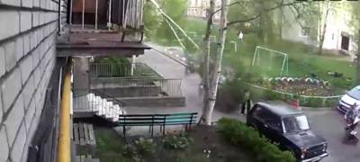 Береза упала на женщину во дворе жилого дома в Петрозаводске (ВИДЕО) - stolicaonego.ru - Петрозаводск
