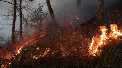 В Тюменской области ликвидировали более 16,5 тысячи га природных пожаров за сутки - russian.rt.com - Тюменская обл.
