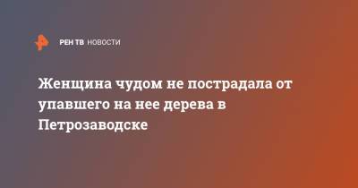 Женщина чудом не пострадала от упавшего на нее дерева в Петрозаводске - ren.tv - Петрозаводск