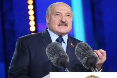 Лукашенко силой посадил самолет на Вильнюс с беглым оппозиционером - mk.ru - Вильнюс - Минск