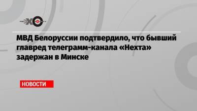 Александр Лукашенко - Светлана Тихановская - МВД Белоруссии подтвердило, что бывший главред телеграмм-канала «Нехта» задержан в Минске - echo.msk.ru - Вильнюс - Минск - Афины