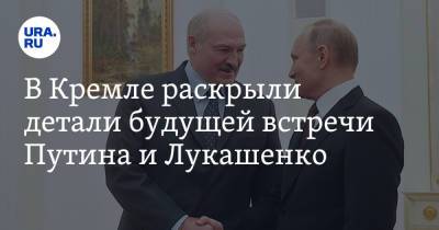 Владимир Путин - Александр Лукашенко - Садыр Жапаров - В Кремле раскрыли детали будущей встречи Путина и Лукашенко - ura.news - Сочи - Киргизия