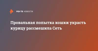 Провальная попытка кошки украсть курицу рассмешила Сеть - ren.tv