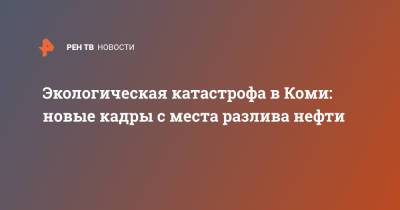 Алексей Кузнецов - Экологическая катастрофа в Коми: новые кадры с места разлива нефти - ren.tv - респ. Коми