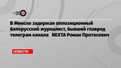 Роман Протасевич - Светлана Тихановская - В Минске задержан оппозиционный белорусский журналист, бывший главред телеграм канала NEXTA Роман Протасевич - echo.msk.ru - Литва - Вильнюс - Минск - Афины