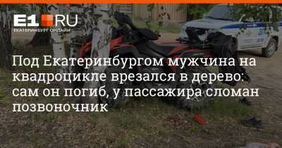 Под Екатеринбургом мужчина на квадроцикле врезался в дерево: сам он погиб, у пассажира сломан позвоночник - e1.ru - Екатеринбург - Свердловская обл.