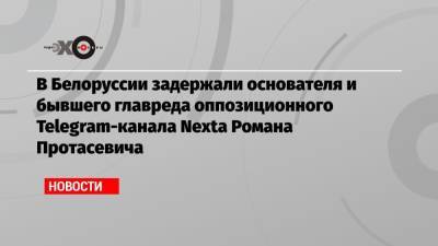 Александр Лукашенко - В Белоруссии задержали основателя и бывшего главреда оппозиционного Telegram-канала Nexta Романа Протасевича - echo.msk.ru - Англия - Вильнюс - Минск