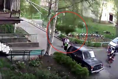 Дерево упало на женщину во дворе жилого дома в Петрозаводске - karel.mk.ru - Петрозаводск - республика Карелия