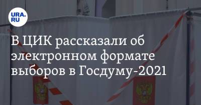 Антон Лопатин - В ЦИК рассказали об электронном формате выборов в Госдуму-2021 - ura.news - Москва