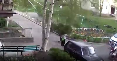 Ветер повалил дерево на группу женщин с детьми в Петрозаводске - reendex.ru - Петрозаводск