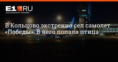 Артем Устюжанин - В Кольцово экстренно сел самолет «Победы». В него попала птица - e1.ru - Санкт-Петербург - Екатеринбург