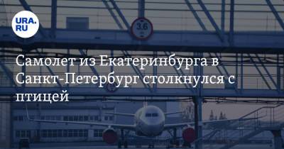 Самолет из Екатеринбурга в Санкт-Петербург столкнулся с птицей - ura.news - Санкт-Петербург - Екатеринбург