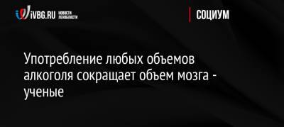 Употребление любых объемов алкоголя сокращает объем мозга — ученые - ivbg.ru - Россия - Англия - Европа