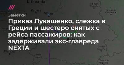 Александр Лукашенко - Приказ Лукашенко, слежка в Греции и шестеро снятых с рейса пассажиров: как задерживали экс-главреда NEXTA - tvrain.ru - Литва - Вильнюс - Минск - Греция - Ирландия