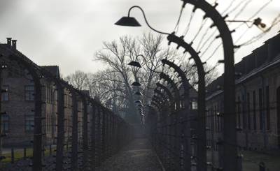 Адольф Гитлер - Newsweek Polska (Польша): важнейшие врачи в Третьем рейхе знали, что Гитлер — ходячая развалина, но ничего не предпринимали - inosmi.ru - Германия