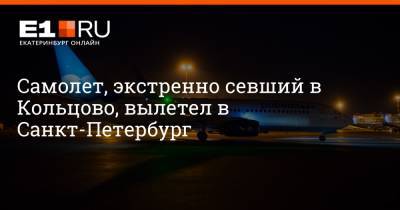 Артем Устюжанин - Самолет, экстренно севший в Кольцово, вылетел в Санкт-Петербург - e1.ru - Санкт-Петербург - Екатеринбург