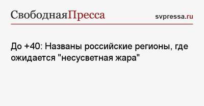 Роман Вильфанда - До +40: Названы российские регионы, где ожидается «несусветная жара» - svpressa.ru