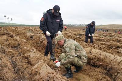 Росгвардейцы Бурятии присоединились к акции по посадке леса - ulan.mk.ru - респ.Бурятия