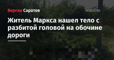 Житель Маркса нашел тело с разбитой головой на обочине дороги - nversia.ru - Саратовская обл.