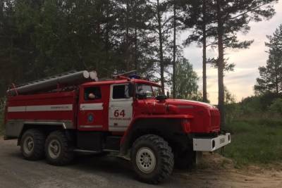 В лесу у Полевского нашли двух потерявшихся детей - eburg.mk.ru - Свердловская обл.