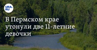 В Пермском крае утонули две 11-летние девочки - ura.news - Пермь - Пермский край
