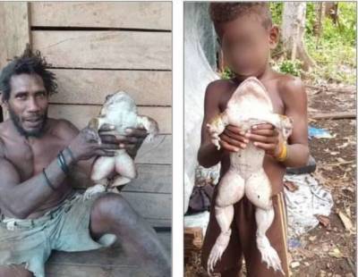 На Соломоновых островах местные жители нашли огромную лягушку - skuke.net - Соломоновы Острова