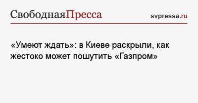 «Умеют ждать»: в Киеве раскрыли, как жестоко может пошутить «Газпром» - svpressa.ru - Киев