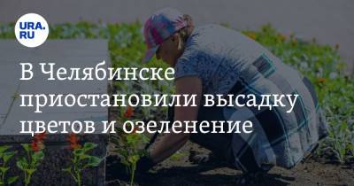 Наталья Котова - В Челябинске приостановили высадку цветов и озеленение - ura.news - Челябинская обл. - Челябинск