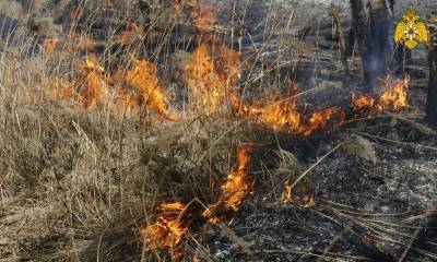 За сутки ульяновские пожарные выезжали на тушение сухой травы 2 раза - ulpravda.ru - Ульяновская - район Мелекесский
