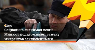 Константин Чуйченко - Социально значимая вещь: Минюст поддерживает замену мигрантов заключенными - ridus.ru