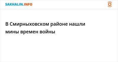 В Смирныховском районе нашли мины времен войны - sakhalin.info - район Смирныховский