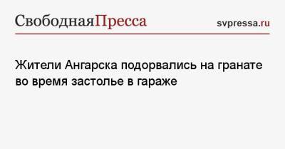 Жители Ангарска подорвались на гранате во время застолье в гараже - svpressa.ru - Иркутская обл. - Волгоград - Ростовская обл. - Ангарск