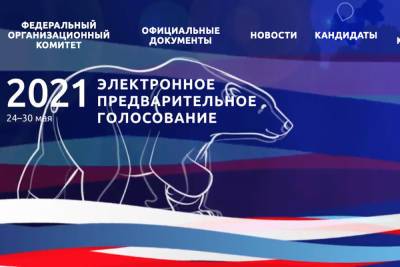 Стартовал праймериз «Единой России»: тест-драйв электронного голосования из Тулы - tula.mk.ru - Тула