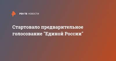 Александр Карелин - Стартовало предварительное голосование "Единой России" - ren.tv - Московская обл. - Владивосток