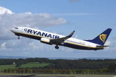 Роман Протасевич - Задержанный создатель NEXTA просил пилотов Ryanair не сажать самолёт в Минске - versia.ru - Минск