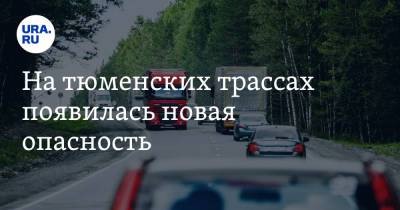На тюменских трассах появилась новая опасность - ura.news - Тюмень - Тюменская обл. - Омск