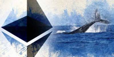 Число Ethereum-китов поднялось до максимума с января 2018 года - cryptowiki.ru - Santiment