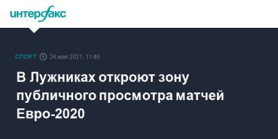 В Лужниках откроют зону публичного просмотра матчей Евро-2020 - sport-interfax.ru - Москва