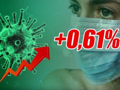 Динамика коронавируса на 24 мая - bloknot.ru - Москва