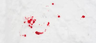 Жители поселка в Карелии по кровавым следам на снегу нашли и задержали убийцу - stolicaonego.ru - район Суоярвский - республика Карелия