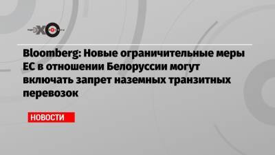 Роман Протасевич - Софья Сапега - Bloomberg: Новые ограничительные меры ЕС в отношении Белоруссии могут включать запрет наземных транзитных перевозок - echo.msk.ru - Минск - Брюссель - Ирландия