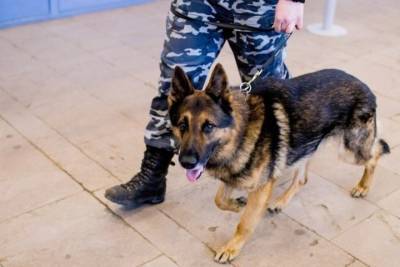 Дмитрий Захаров - В Чебоксарах 18 школ получили угрозы в день последнего звонка - cheb.mk.ru - респ. Чувашия - Казань - Чебоксары