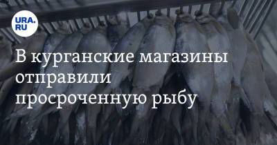 В курганские магазины отправили просроченную рыбу - ura.news - Челябинская обл. - Курганская обл.