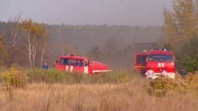 В Пензенской области сохраняется высокая пожарная опасность лесов - penzainform.ru - Пензенская обл.