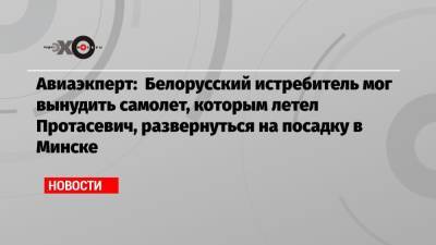 Вадим Лукашевич - Роман Протасевич - Авиаэкперт: Белорусский истребитель мог вынудить самолет, которым летел Протасевич, развернуться на посадку в Минске - echo.msk.ru - Москва - Вильнюс - Минск